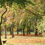 P221023_999_20-scaled