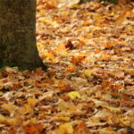 P221023_999_26-scaled