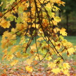 P221023_999_28-scaled