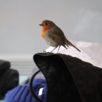 P221211_999_58-2-scaled